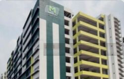 Mandai Connection (D25), Factory #454217361
